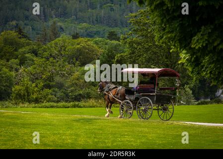 Pferde und Wagen im Killarney National Park, in der Nähe der Stadt Killarney, County Kerry, Irland Stockfoto