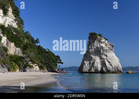 Cathedral Cove Beach auf der Halbinsel Coromandel Stockfoto