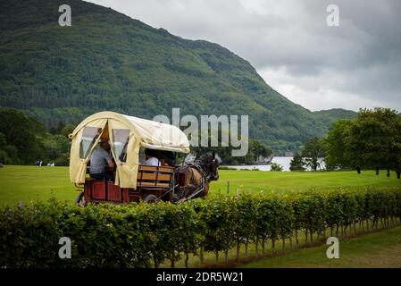 Pferde und Wagen im Killarney National Park, in der Nähe der Stadt Killarney, County Kerry, Irland Stockfoto