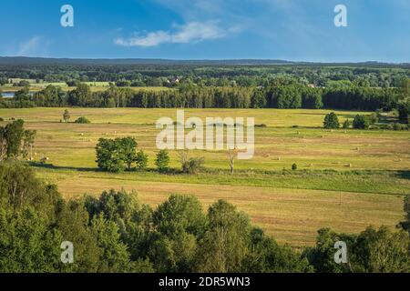 Sommer ländliche Landschaft mit Heuschafen auf Ackerflächen, Wald und oder, Landesgrenze zwischen Deutschland und Polen Stockfoto