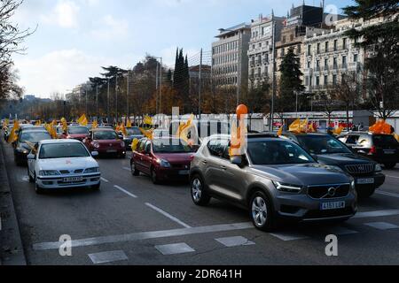 Madrid, Spanien. Dezember 2020. Menschen in Autos, die mit orangefarbenen Ballons geschmückt waren, während einer Demonstration gegen das Celaa-Gesetz am 20. Dezember 2020 Credit: CORDON PRESS/Alamy Live News Stockfoto