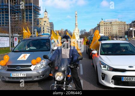 Madrid, Spanien. Dezember 2020. Menschen in Autos, die mit orangefarbenen Ballons geschmückt waren, während einer Demonstration gegen das Celaa-Gesetz am 20. Dezember 2020 Credit: CORDON PRESS/Alamy Live News Stockfoto