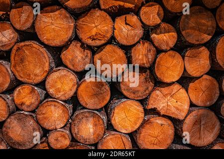 Holzstämme in deutschen Alpen Stockfoto