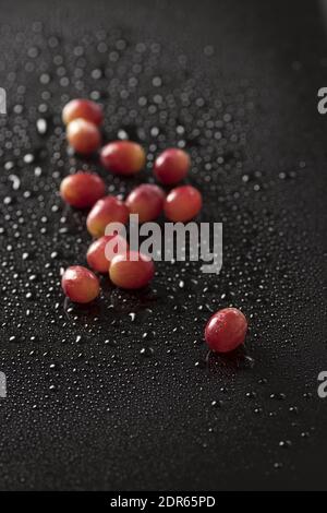 Eine Draufsicht Nahaufnahme von roten Trauben isoliert auf einem Schwarzer Hintergrund mit Wassertropfen Stockfoto