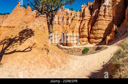 Hoodoos und erodierte Sandsteinformationen entlang der Wanderwege Queen's Garden und Navajo Loop im Bryce Canyon National Park in Utah. Stockfoto