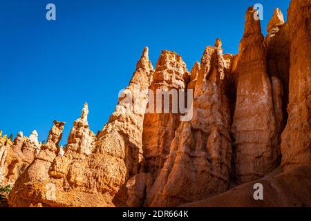 Hoodoos und erodierte Sandsteinformationen entlang der Wanderwege Queen's Garden und Navajo Loop im Bryce Canyon National Park in Utah. Stockfoto