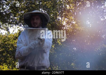 Junger Mann, der seinen weißen Imkeranzug zum Sammeln anlegt Honig aus den Waben im Winter Stockfoto