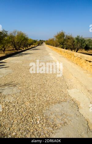 AGRIGENTO, ITALIEN - 14. Okt 2019: Eine gerade lange Römerstraße, die durch die antike Stadt Akragas im Tal der Tempel führt. Stockfoto