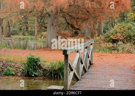 Holzbrücke über den kleinen Bach Woodland Gardens Bushy Park Stockfoto