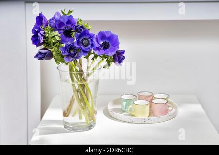 Bouquet der blauen Anemonen in einer Glasvase auf einem weißen Tisch nahe der hellgrauen Wand. Tablett mit fünf kleinen Tasse für americano. Vertikaler Rahmen. Kopie sp Stockfoto