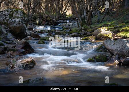 Flusswasser fließt zwischen den Felsen und bildet kleine Wasserfälle, Rascafría, Madrid, Spanien Stockfoto