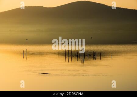 Sonnenaufgang früh im Morgenröten über dem See in Gold Stimmung Stockfoto