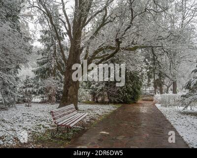 Leere Parkbank mit Schnee bedeckt. Winter im Stadtpark. Stockfoto