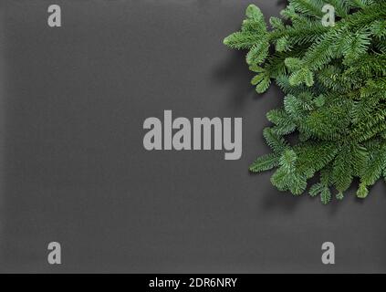 Fichtenzweige auf grauer Textur. Weihnachten Hintergrund Stockfoto