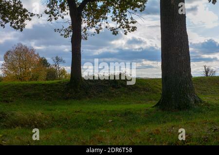 Bäume in einer grünen Wiese mit Himmel Stockfoto