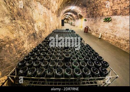 Sekt Keller der berühmten Ungarischen Törley Champagnerfabrik. Törley Sekt stammt aus fast 150 Jahren. Stockfoto