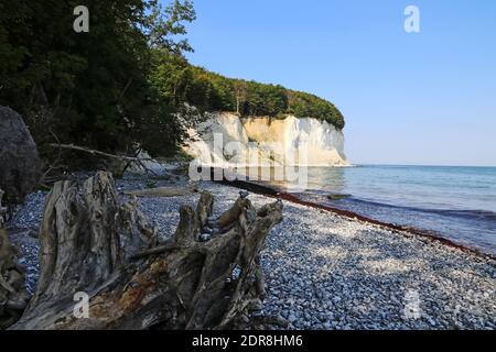 Die weißen Kreidefelsen auf der Insel Rügen Die Ostsee in Deutschland Stockfoto