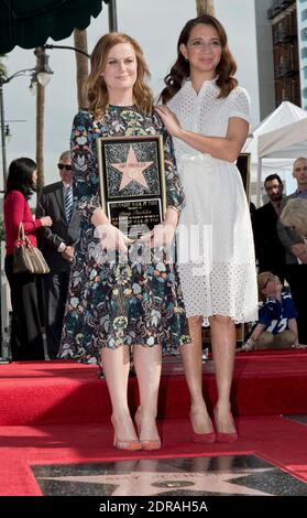 Amy Poehler wird am 3. Dezember 2015 in Los Angeles, Caliofornia, mit einem Star auf dem Hollywood Walk of Fame geehrt. Foto von Lionel Hahn/AbacaUsa.com Stockfoto