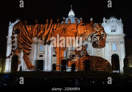 Während der Lichtshow "Fiat Lux: Illuminating Our Common Home" am 8. Dezember 2015 im Vatikan wird ein Bild auf die Petersbasilika projiziert. Bilder von einigen der weltweit größten Umweltfotografen, darunter Sebastiao Salgado, Joel Sartore, Yann Arthus-Bertrand und Louie Schwartzberg, werden in Solidarität mit den COP21-Gesprächen in Paris projiziert. Es ist auch Teil der Einweihung der römisch-katholischen Kirchen einjähriges Jubiläum der Barmherzigkeit. Eine Koalition aus nicht-katholischen humanitären, philanthropischen und Naturschutzgruppen sowie der Weltbank veranstalten die Veranstaltung. Es ist das erste Mal Stockfoto