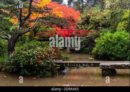 Rote Brücke im japanischen Stil in einem bewaldeten Gebiet am Kubota Public Park in Seattle Stockfoto