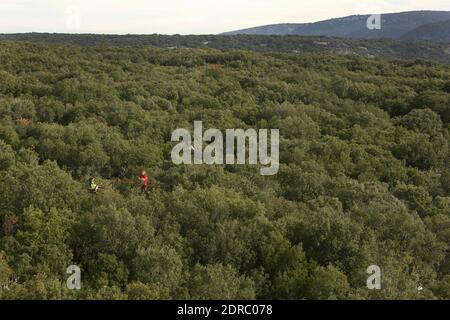 France-Puechabon-Herault.20/10/2015.Isabelle Chuine directrice de Recherche au CNRS sur l'Impact du changement climatique enregister l'état de la forêt au sommet des Chênes .C'est un laboratoire GÉANT stoppeur de pluies, Dans la forêt de Puéchabon les chercheurs du CNRS soumettent des parcelles de Chênes verts au manque d'Eau.Leur objectif est de Tester le comportement d'une forêt aux reductions des precipitations. CES chercheurs du Centre d'Ecologie fonctionnelle et Evolutive de Montpellier ont inventé des Systèmes ingénieux pour siamer la prédiction du réchauffement climatique dans 100 ans Stockfoto