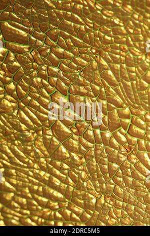 Geknackte goldene Farbe auf Leinwand Nahaufnahme modernen Hintergrund hoch Hochwertiger Druck Stockfoto