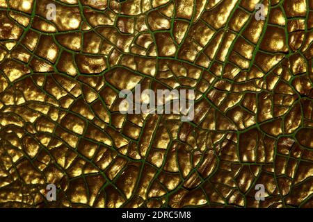 Geknackte goldene Farbe auf Leinwand Nahaufnahme modernen Hintergrund hoch Hochwertiger Druck Stockfoto