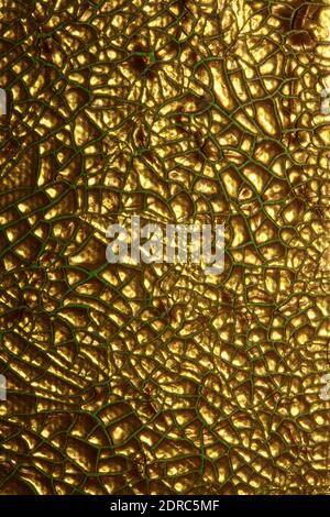 Geknackte goldene Farbe auf Leinwand Nahaufnahme modernen Hintergrund hoch Hochwertiger Druck Stockfoto