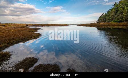 Dramatic Dungeness Spit National Wildlife Refuge, Dungeness, Washington State, Vereinigte Staaten von Amerika Stockfoto