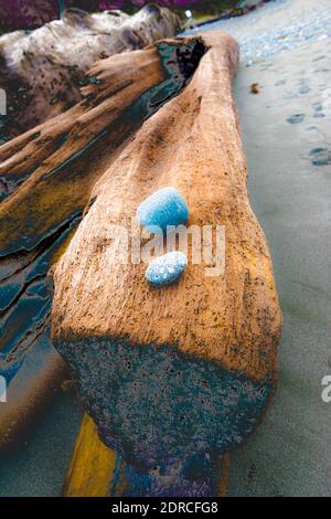 Dramatic Dungeness Spit National Wildlife Refuge, Dungeness, Washington State, Vereinigte Staaten von Amerika Stockfoto