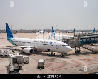 Mehrere Garuda Indonesia Boeing 737 im Terminal 3, Soekarno–Hatta International Airport in Jakarta, Indonesien. Stockfoto