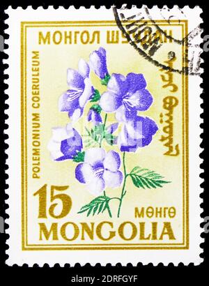 MOSKAU, RUSSLAND - 4. JANUAR 2019: Eine in der Mongolei gedruckte Marke zeigt Polemonium caeruleum, Flowers Serie, um 1960 Stockfoto