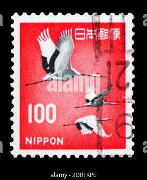 MOSKAU, RUSSLAND - 9. FEBRUAR 2019: Eine in Japan gedruckte Briefmarke zeigt Rotkränze (Grus japonensis), Fauna, Flora und Kulturerbeserie, circ Stockfoto