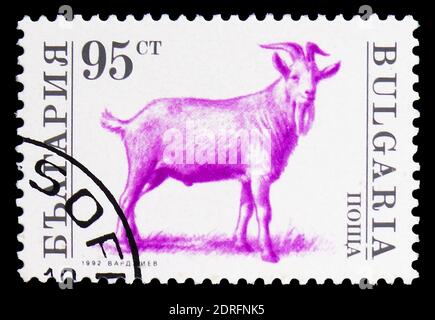 MOSKAU, RUSSLAND - 9. FEBRUAR 2019: Eine in Bulgarien gedruckte Briefmarke zeigt Billy Goat (Capra hircus), domestizierte Tierserie, um 1992 Stockfoto
