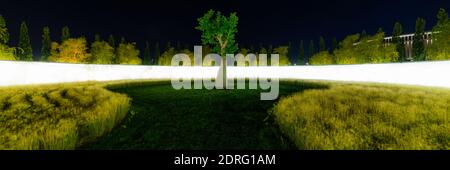 Ein mysteriöses Leuchten um einen einsamen Baum, der auf einer Lichtung steht. Stockfoto