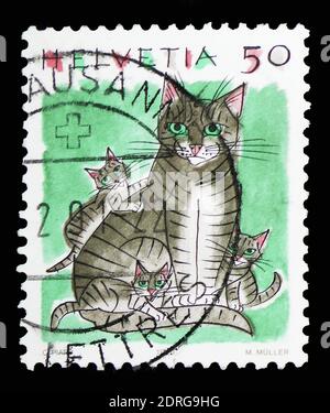 MOSKAU, RUSSLAND - 10. FEBRUAR 2019: Eine in der Schweiz gedruckte Marke zeigt Hauskatze (Felis silvestris catus), Tierserie, um 1990 Stockfoto