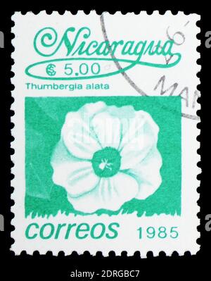 MOSKAU, RUSSLAND - 10. FEBRUAR 2019: Eine in Nicaragua gedruckte Marke zeigt Thumbergia alata, Lokale Blumen Serie, um 1986 Stockfoto
