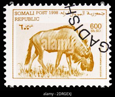 MOSKAU, RUSSLAND - 10. FEBRUAR 2019: Eine in Cinderellas (Somali) gedruckte Briefmarke zeigt Blauer Gnus (Connochaetes taurinus), Somalia-Serie, um 1998 Stockfoto