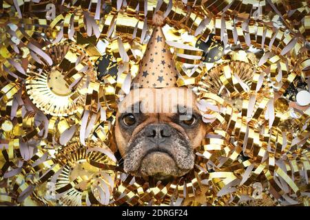 Französischer Bulldog Hund mit New Yeare Partyhut, der zwischen glänzenden goldenen Papierstreamern, Tellern und Papieruhren den Kopf ausragt Stockfoto