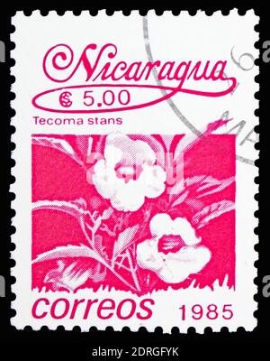 MOSKAU, RUSSLAND - 10. FEBRUAR 2019: Eine in Nicaragua gedruckte Marke zeigt Tecoma stans, Local Flowers Serie, um 1986 Stockfoto