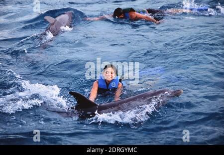 Fotograf: Joan Iaconetti Stockfoto