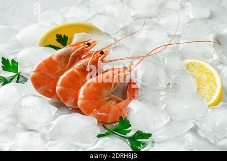 Frische Tigergarnelen auf Eis. Meeresfrüchtekonzept. Stockfoto