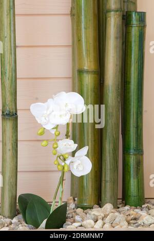 cactus jack Cactus Jack By Travis Scott Small 10” x 24” / White Blue main image 1