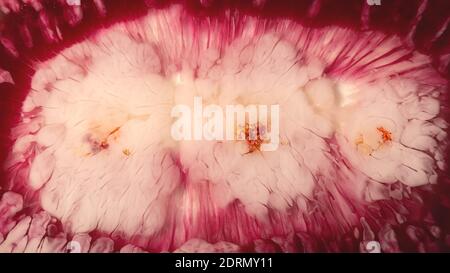 Abstrakte Flecken in rot, Gold, weiß. Hintergrund Stockfoto