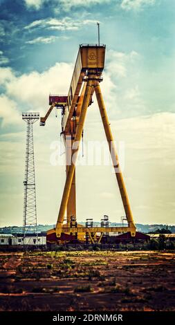 Goliath, einer von zwei riesigen Portalkranen auf der Harland & Wolff Werft in Belfast, Nordirland. Eine sehr beliebte Ikone der Stadt, zusammen mit ihr si Stockfoto