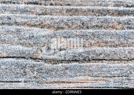 Der erste Frost auf einer gefrorenen, blassbraunen und kühlen, blauen Oberfläche aus wiedergewonnenen Kiefernholz mit alten Brettern aufgereiht. Schöner abstrakter gefrorener Mikrokosmos Stockfoto