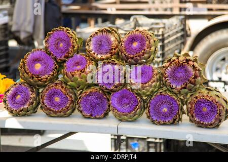 Artischockenblüte zum Verkauf auf dem Obst- und Gemüsemarkt in Santa Monica, Kalifornien, USA, Mai 2015 Artischockenherz Stockfoto