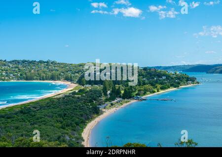 Kurve und Runde Palmenstrand Stockfoto