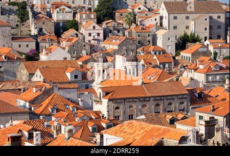 Dubrovnik, Dubrovnik-Neretva, Kroatien. Blick über die Dächer der Altstadt von der Stadtmauer, Kirche der Heiligen Verkündigung prominent. Stockfoto