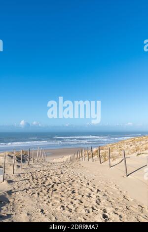 Le Porge, in der Nähe von Lacanau in Médoc, Frankreich. Zugang zum Strand Stockfoto